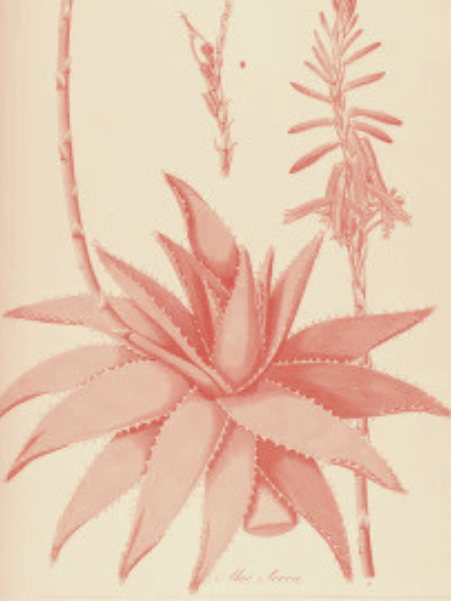 31.20.24.35